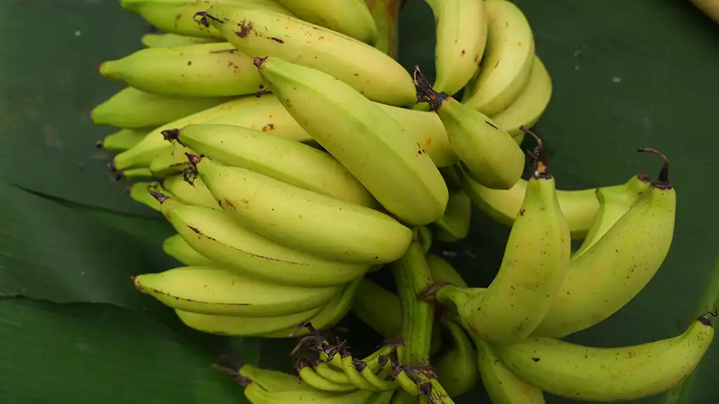Nendran Banana elim
