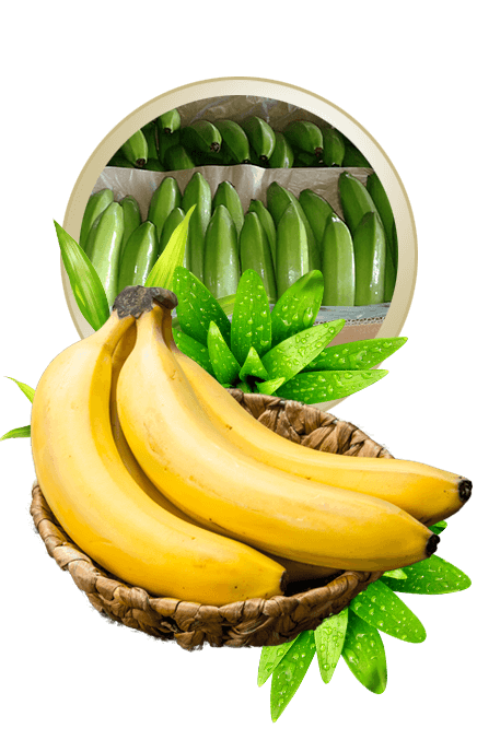 banana image 45