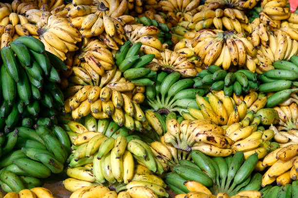 elim fruits