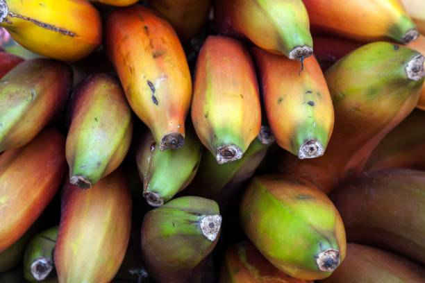 elim fruits