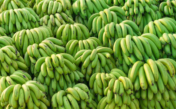 elim fruit